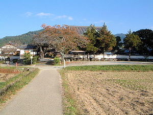橘寺と明日香村の風景