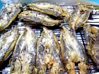 まったり脂 深海魚メヒカリの唐揚げ 奈良の宿大正楼