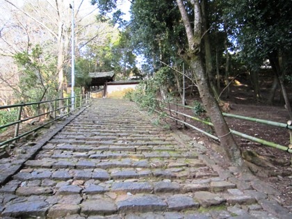 東大寺知足院の石段