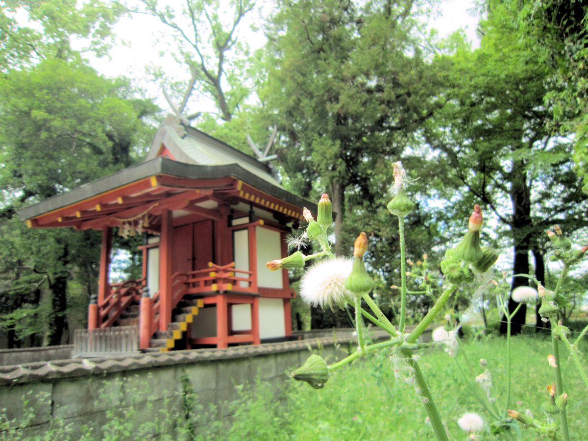 小杜神社