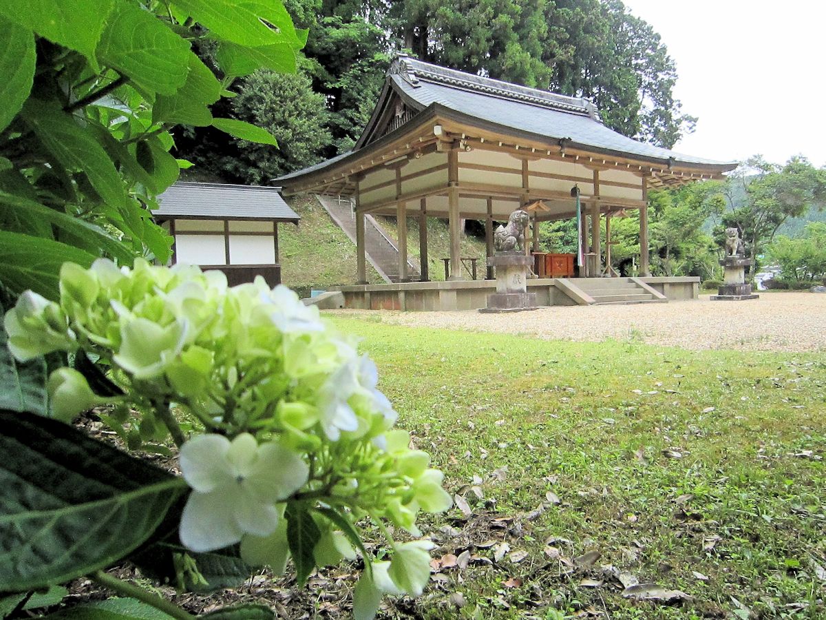 八咫烏神社拝殿と紫陽花