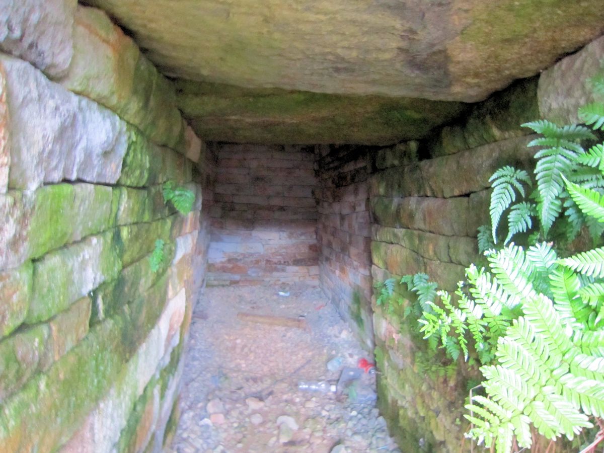 奥ノ芝１号墳の横穴式石室