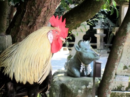 石上神宮の鶏と牛