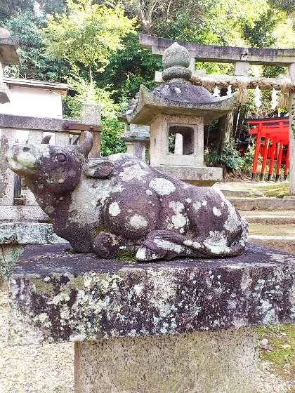 伊射奈那岐神社の牛像