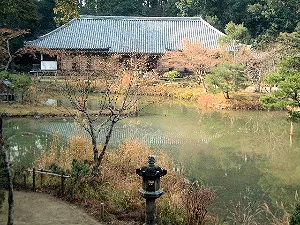 浄瑠璃寺三重塔から望む本堂