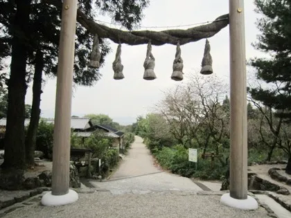 桧原神社の鳥居