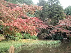長岳寺放生池と紅葉