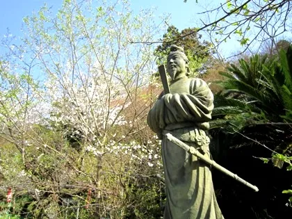 平等寺の桜