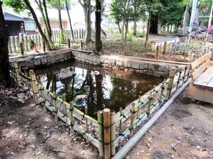 伴堂杵築神社の池