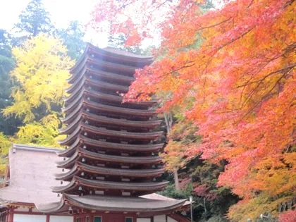 談山神社十三重塔の紅葉
