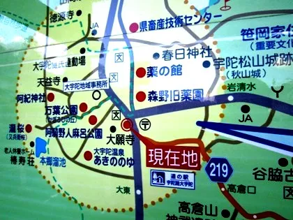阿紀神社周辺地図