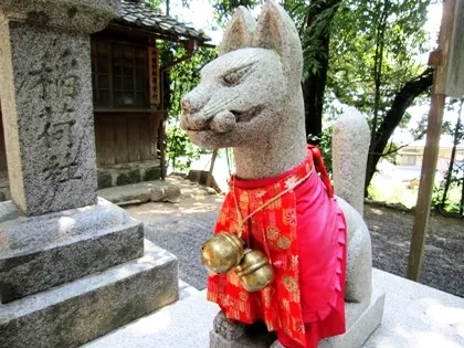 三輪成願稲荷神社の狐