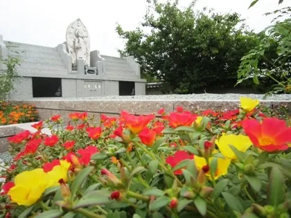 極楽寺の境内に咲く花
