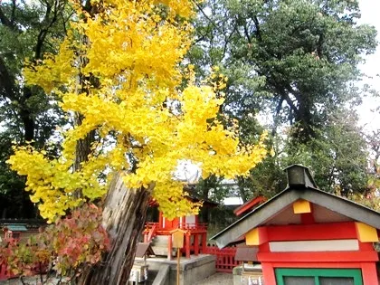 率川神社の紅葉