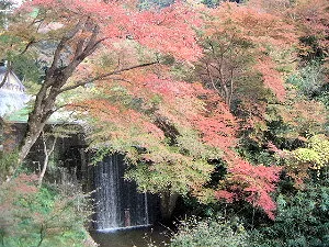 正暦寺参道の紅葉風景