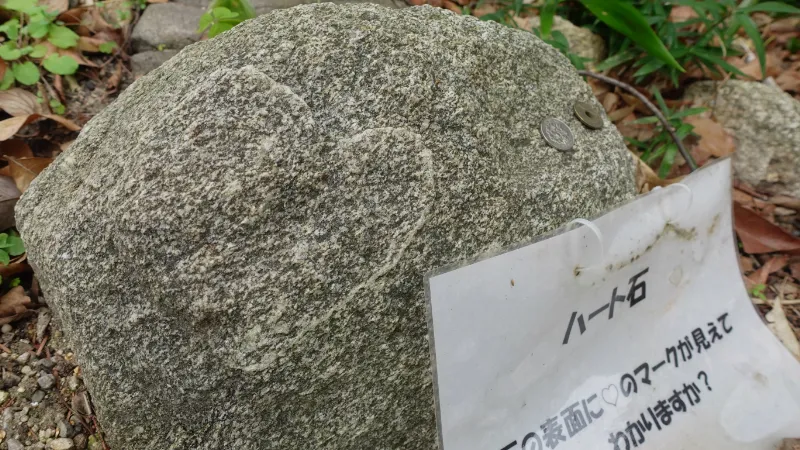 大和神社のハート石