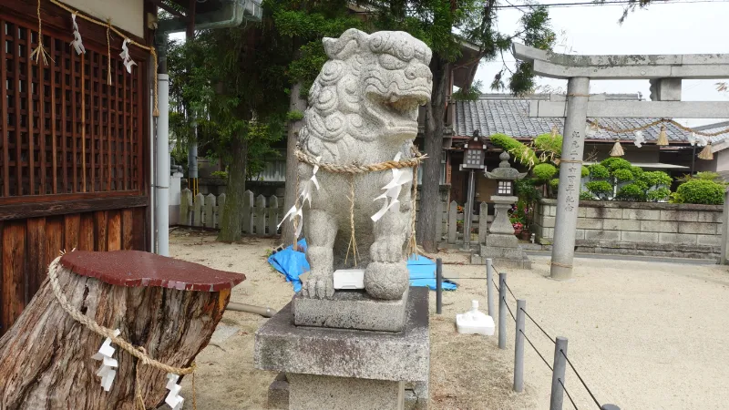 調田坐一言尼古神社の狛犬