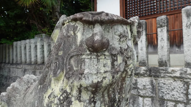 杵築神社の狛犬