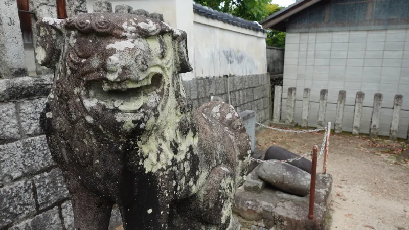杵築神社の狛犬