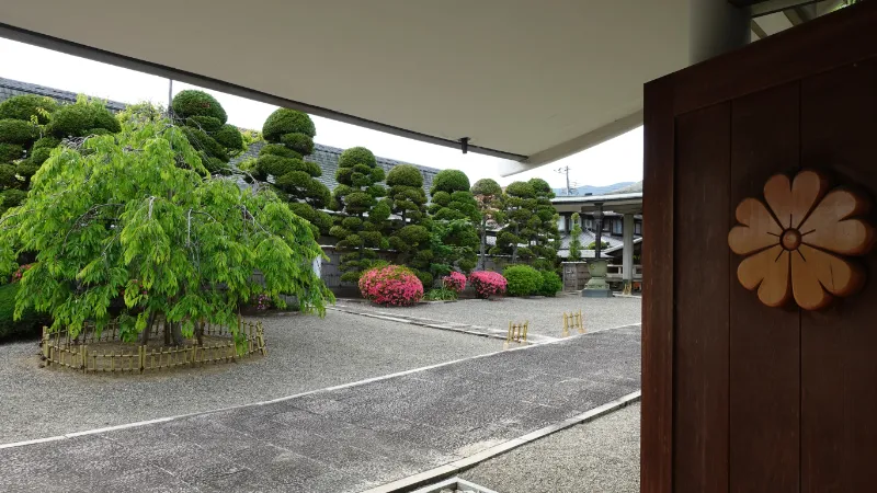 櫻井寺の庭