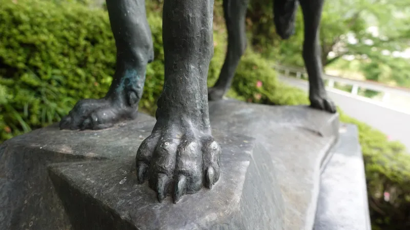 ニホンオオカミ像の爪