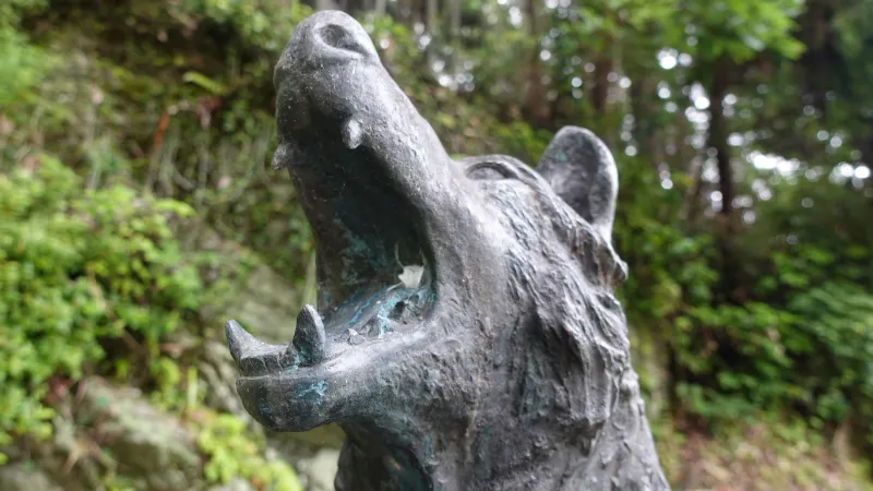 ニホンオオカミ像の牙
