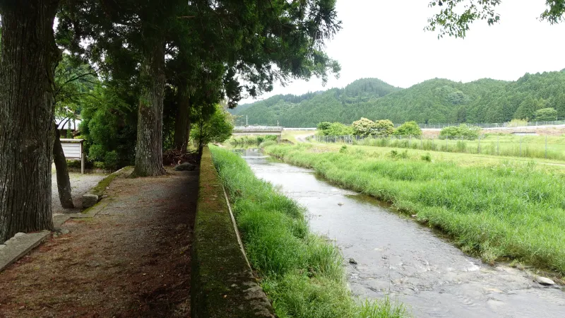 四社神社背後の菅野川