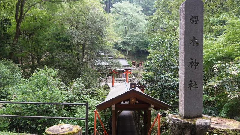 桜木神社の木末橋