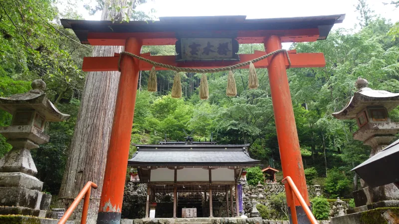 吉野町喜佐谷の桜木神社