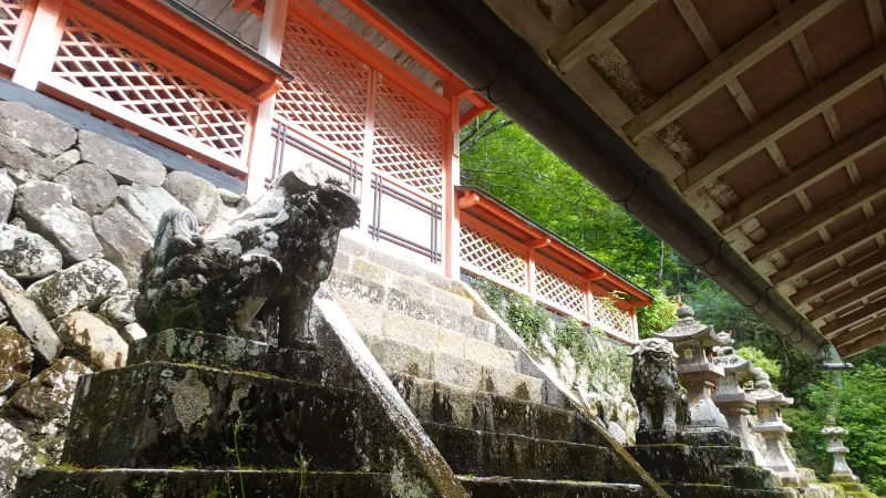 桜木神社の狛犬