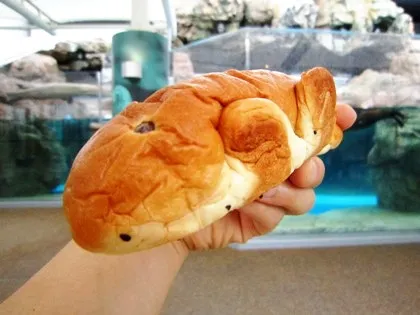 アイすいぞくパン・京都水族館