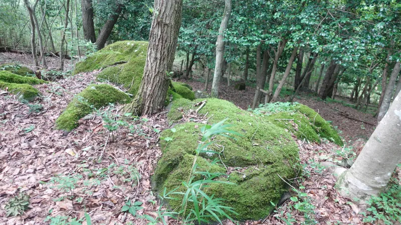 山添村の北斗岩