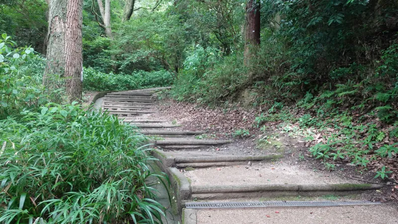 枚岡神社神津嶽本宮の階段