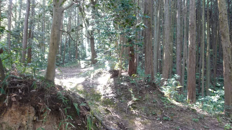 巨勢山口神社の登山道