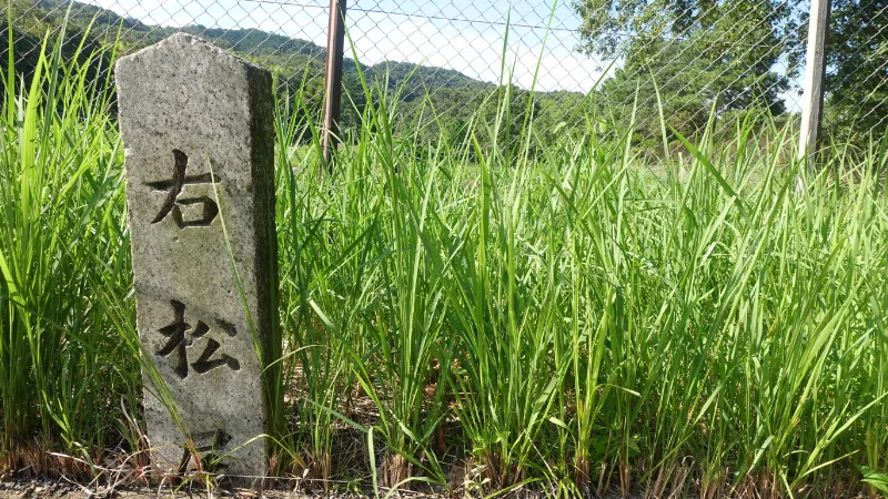 松尾寺の標石