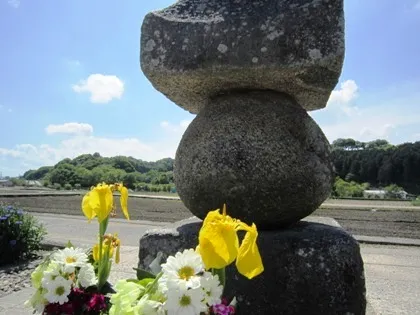 入鹿の首塚と黄菖蒲