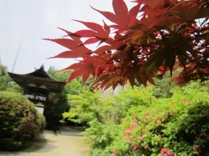 長岳寺鐘楼門