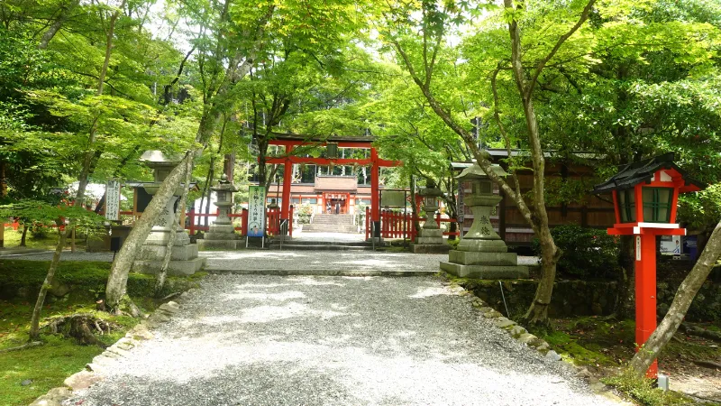 大原野神社の青もみじ