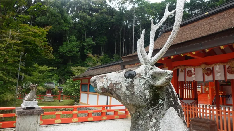 大原野神社の狛鹿