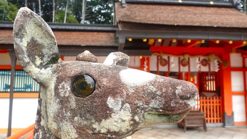 大原野神社の狛鹿