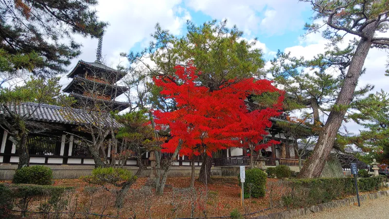 法隆寺の紅葉