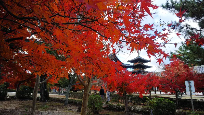 法隆寺