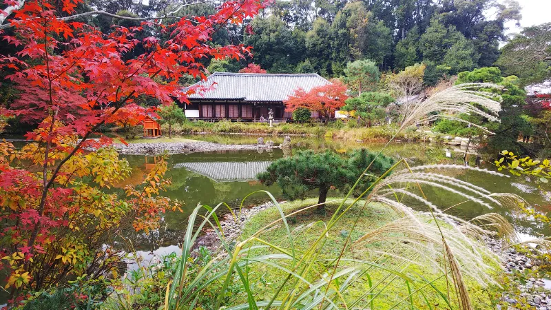 浄瑠璃寺の紅葉