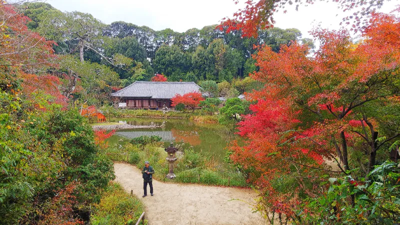 浄瑠璃寺本堂と紅葉