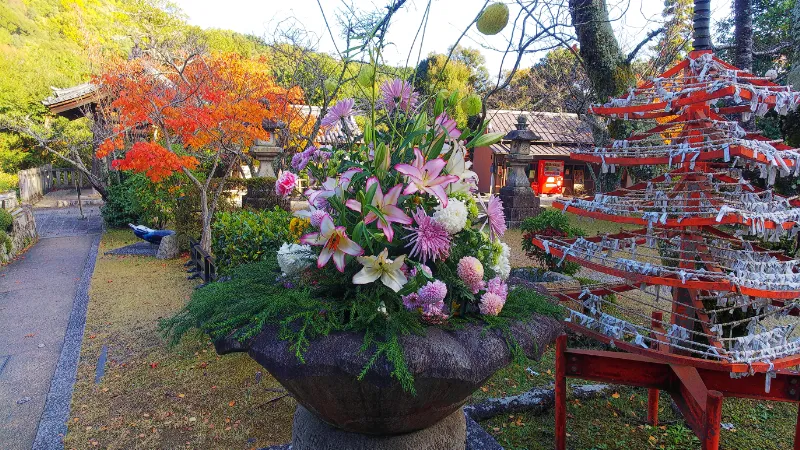 海住山寺おみくじ結び処