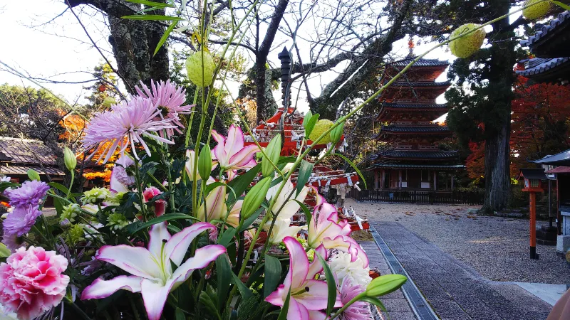 海住山寺