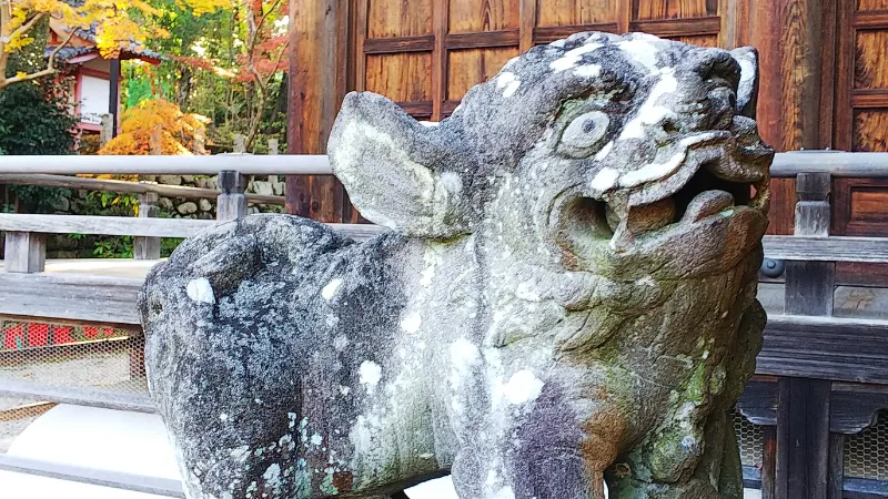 海住山寺の狛犬