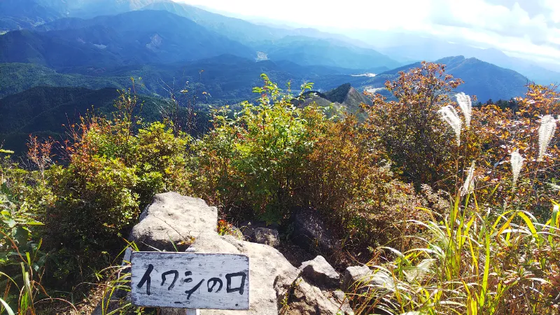 曾爾高原のイワシの口