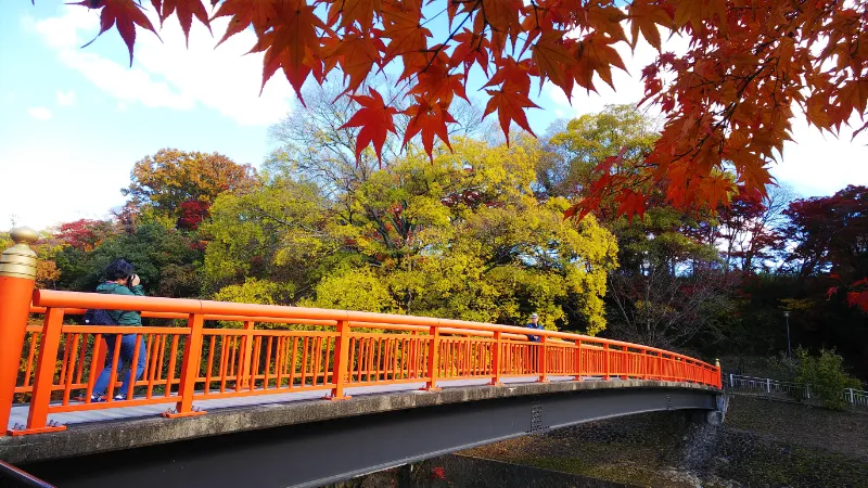 竜田公園の紅葉