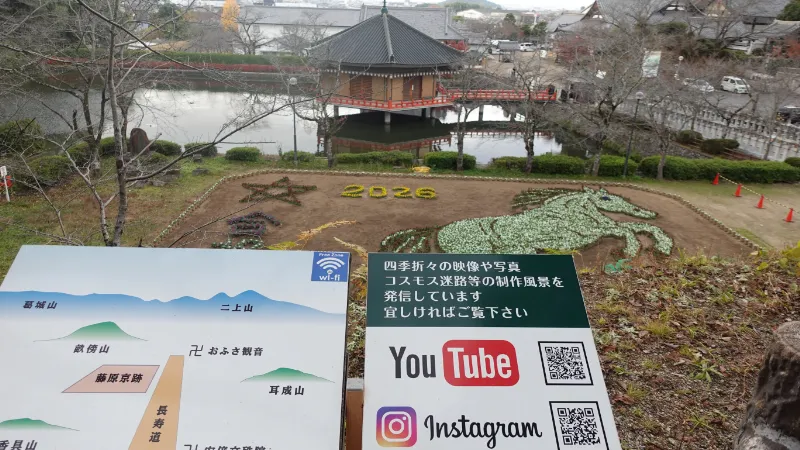 午年干支花絵とSNS案内板